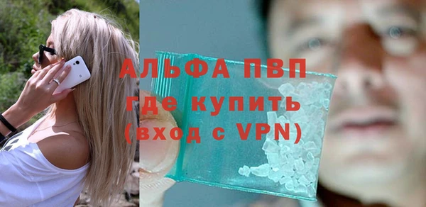 индика Дмитриев