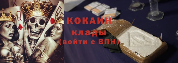 индика Дмитриев