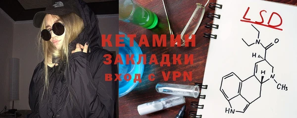 индика Дмитриев