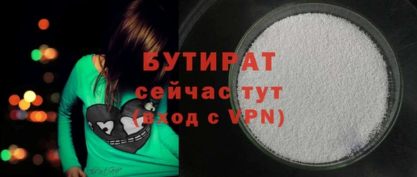 индика Дмитриев