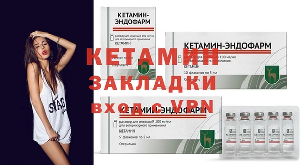 индика Дмитриев