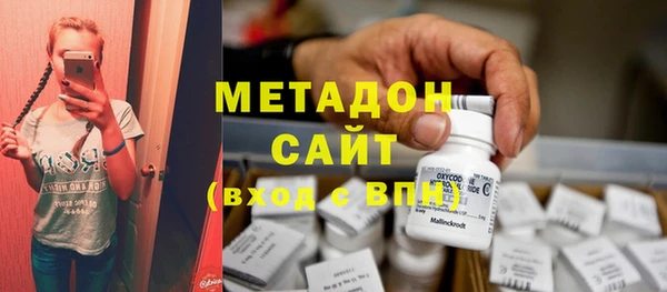 индика Дмитриев