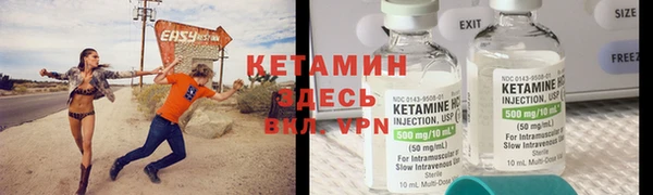 индика Дмитриев