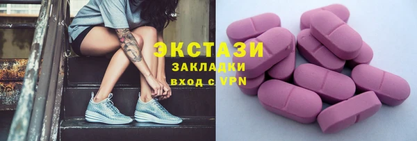 индика Дмитриев