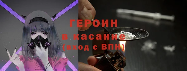 индика Дмитриев