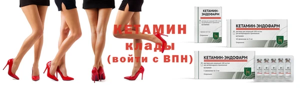 индика Дмитриев