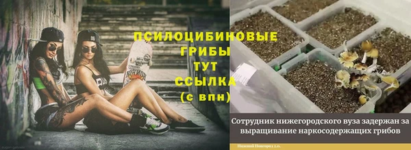 МДПВ Дмитров