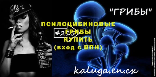 индика Дмитриев