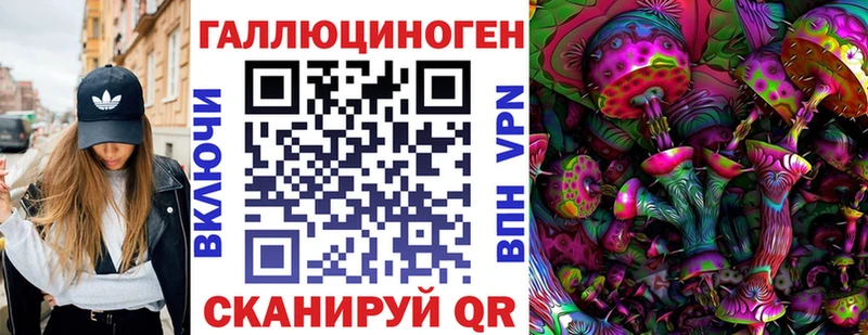 Купить где Чкаловск Псилоцибиновые грибы мухоморы